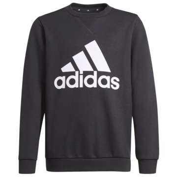 adidas sportswear SweatshirtsESSENTIALS SWEATSHIRT - GN4029 schwarz
