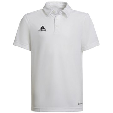 adidas PoloshirtsEntrada 22 Poloshirt weiß