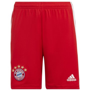 adidas Performance FußballshortsFC Bayern München 22/23 Heimshorts rot