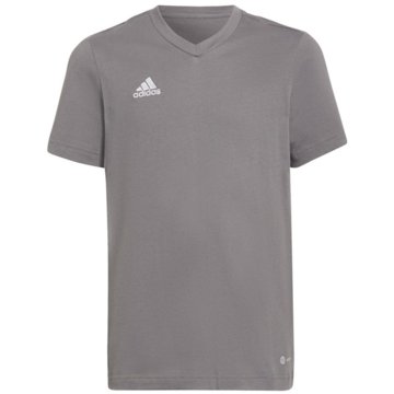 adidas Performance T-ShirtsEntrada 22 T-Shirt -