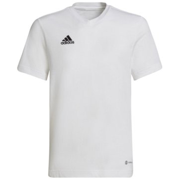 adidas Performance T-ShirtsEntrada 22 T-Shirt weiß