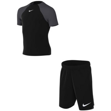 Nike FanartikelDri-FIT Academy Pro Training grau