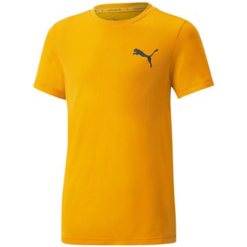 Puma T-ShirtsActive  Small Logo Tee B orange