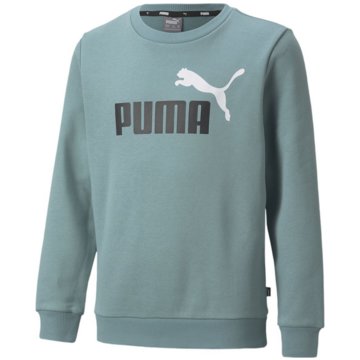 Puma SweatshirtsEss+ 2 Col Big Logo Crew  FL B blau