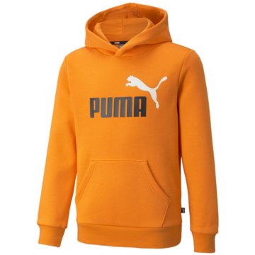 Puma SweatshirtsESS   2 COL BIG LOGO HOODI - 586987 orange