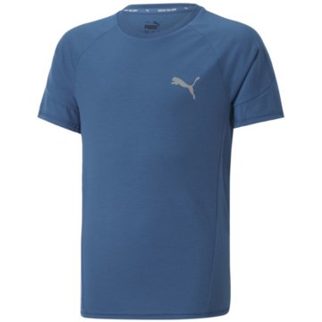 Puma T-ShirtsEvostripe Tee B blau