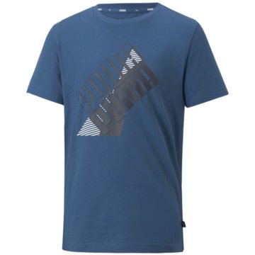 Puma T-ShirtsPower Logo Tee B blau