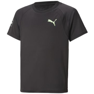 Puma T-ShirtsFit schwarz