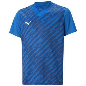 Puma T-ShirtsTeamULTIMATE Junior blau