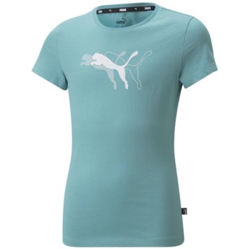 Puma T-ShirtsPower Graphic Tee G blau