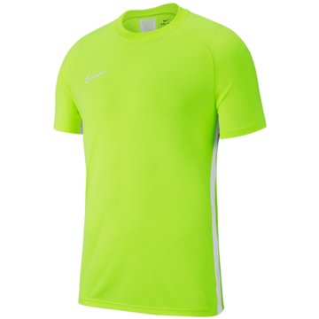 Nike FußballtrikotsDRI-FIT ACADEMY19 - AJ9261-702 grün