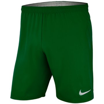 Nike FußballshortsDRI-FIT LASER IV - AJ1261-302 grün