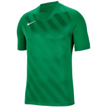 Nike FußballtrikotsDRI-FIT CHALLENGE 3 JBY - BV6703-302 -