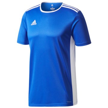 adidas FußballtrikotsENTRADA TRIKOT - CF1049 blau