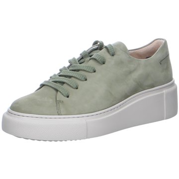 Paul Green Plateau Sneaker5118 grün