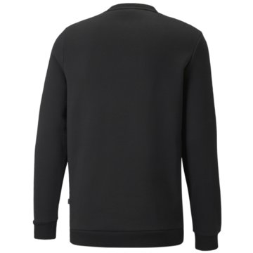 Puma SweatshirtsESS COLORBLOCK CREW FL - 587916 schwarz