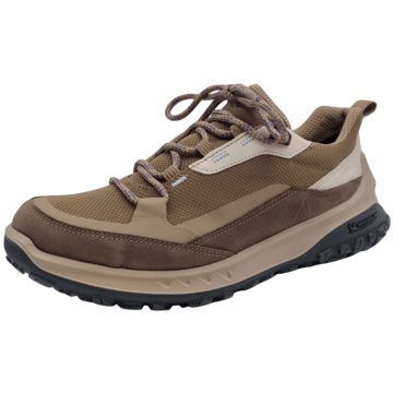 Ecco Outdoor SchuhULT-TRN (ULTRA-TERRAIN) taupe/taupe  beige