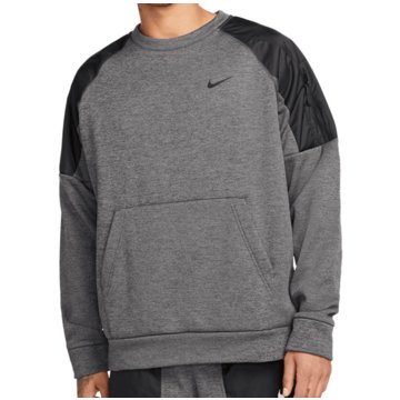Nike SweatshirtsTherma-FIT Novelty Crew grau
