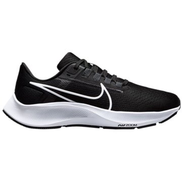 Nike RunningAIR ZOOM PEGASUS 38 - CW7358-002 schwarz
