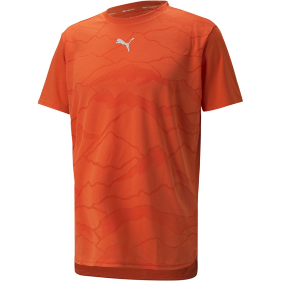 Sport T-Shirts für Herren Puma
